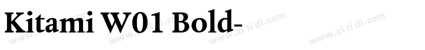 Kitami W01 Bold字体转换